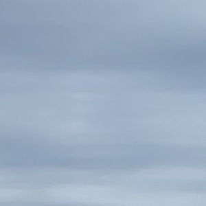 Meet your Posher, Mollie